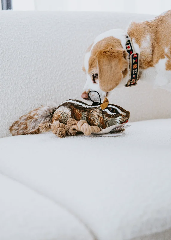 Chipmunk Rope Toy