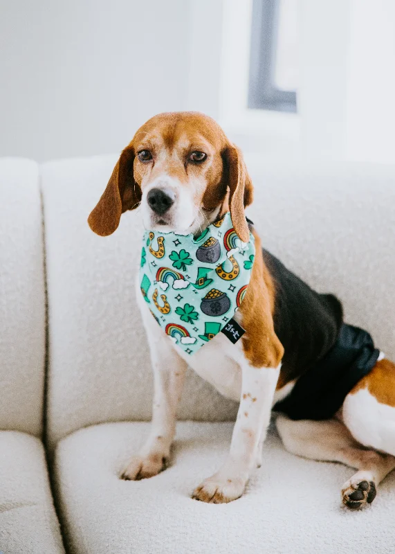 St. Patrick's Day Dog Bandana