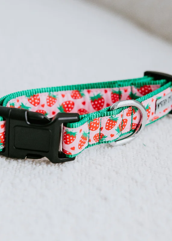 Strawberries Dog Collar