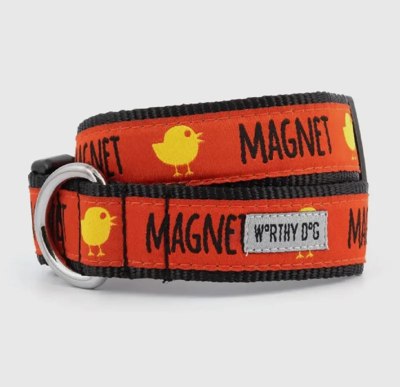 Chick Magnet Dog Collar